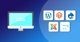 Perchè un CMS?